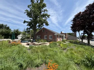 Native food and medicine garden surrounding a brick building